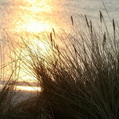 アパート Friesenhof Suederende Apt.4 ヴェスターラント